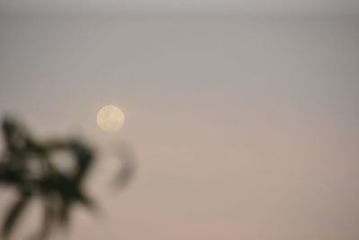 Close-up of moon against sky at sunset