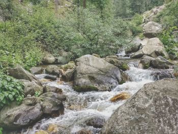 River flowing through rocks in forest