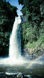 Scenic view of waterfall in forest