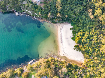 Vertical drone view of collins beach, part of sydney harbour national park, manly, sydney, australia