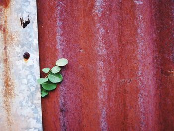 Full frame shot of wooden wall