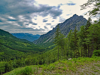 Scenic view of pine trees and mountains against sky