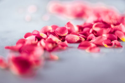 Close-up of heart shapes on table