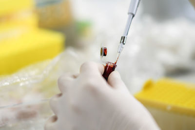 Close-up of hand holding blood in laboratory