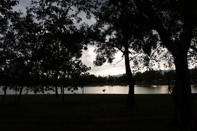 Silhouette trees on field by lake against sky