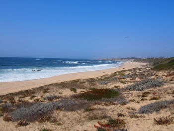 Scenic view of beach against clear sky