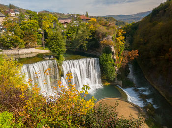 Scenic view of waterfall by trees