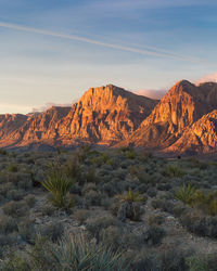 Scenic view of arid landscape against sky