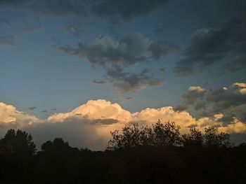 Low angle view of silhouette trees against sky at sunset