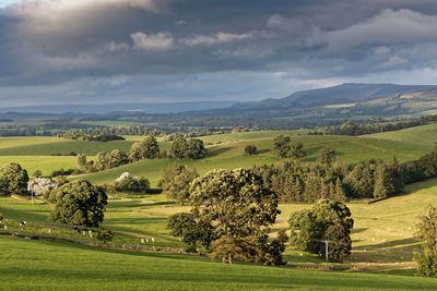 West craven landscape, yorkshire.