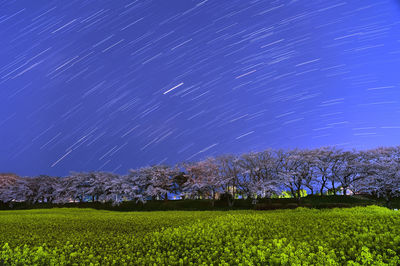 Scenic view of field against sky at night