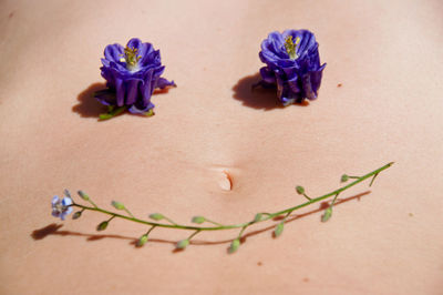 Purple flowers with stem on abdomen of woman lying outdoors