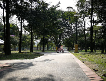 People riding bicycle on road amidst trees in park