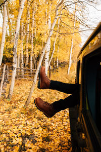 Man amidst trees in forest during autumn