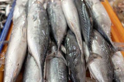 Close-up of fish for sale in market