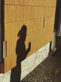 Shadow of people walking on wall