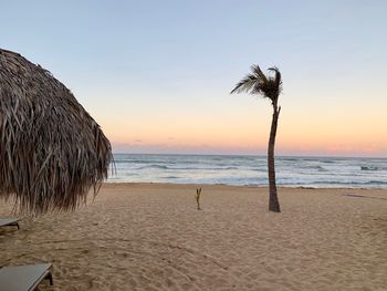 Scenic view of beach during sunset