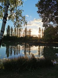 Reflection of trees in lake against sky