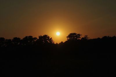 Silhouette trees against sky during sunset