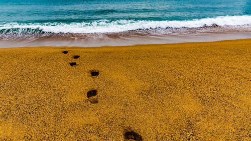 View of the beach with footsteps in the sand against the sea, heading to the water