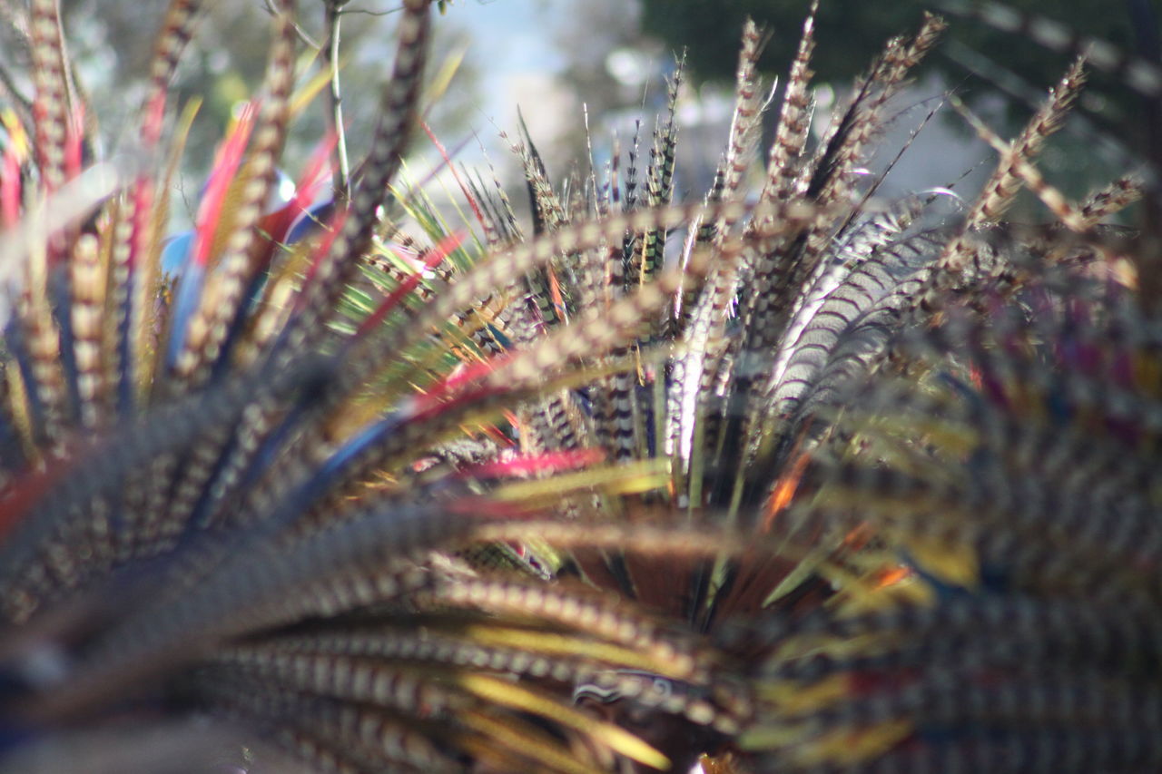 Aztec Dancers