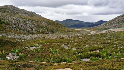 Scenic view of landscape against sky