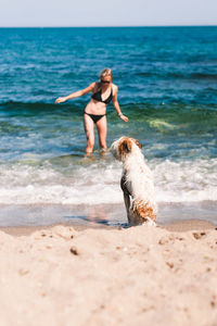 Woman in bikini with dog on shore at beach