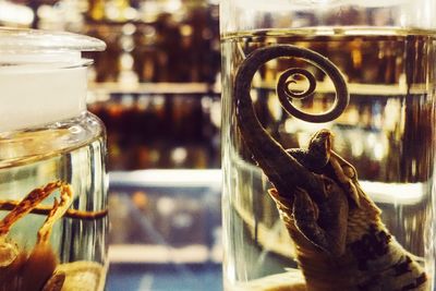 Close-up of horse in jar on table