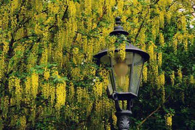 Statue of yellow flowers in park