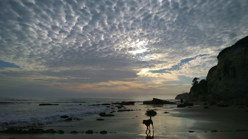 Silhouette person standing on beach against sky during sunset