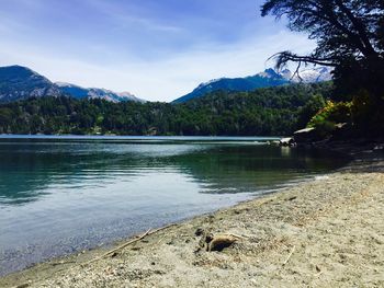 Scenic view of lake by trees against sky