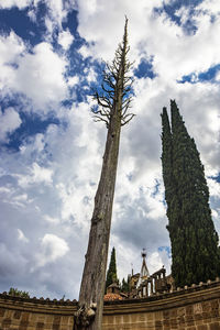 Low angle view of bare tree against sky