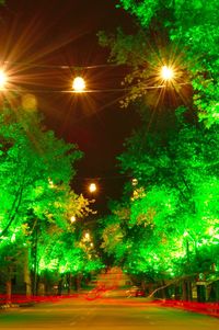 Light trails on street at night