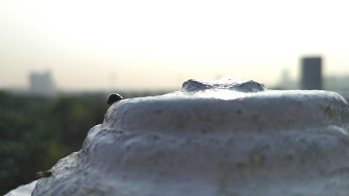 Close-up of snow against sky