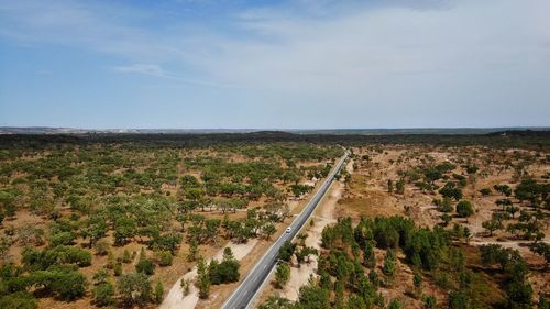 High angle view of road amidst trees against sky