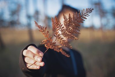 Close-up of woman holding autumn leaves 