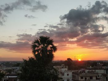 Silhouette tree and buildings against sky during sunset