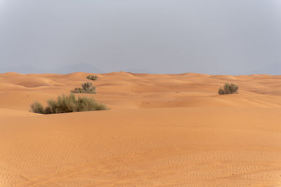 Scenic view of desert against clear sky