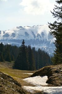 Scenic view of snowcapped mountains against sky