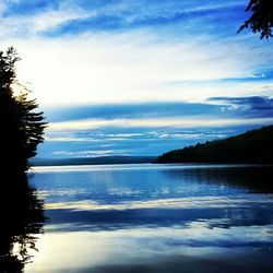 Reflection of trees in water