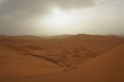 Scenic view of desert