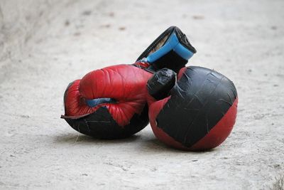 Close-up of red toy