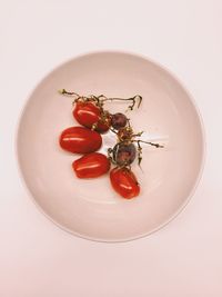 Close-up of red fruit over white background