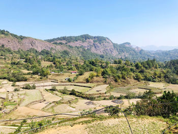 Little rice terraces