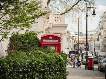 Street amidst trees and buildings in city