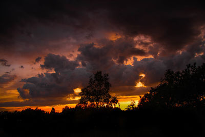 Silhouette trees against dramatic sky during sunset