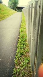 Narrow road along trees