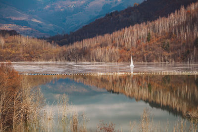 Scenic view of lake in forest against sky