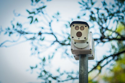 Cctv security camera installed a top of round metal pole with natural tree background.