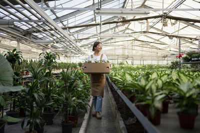 Happy gardener with box walking in greenhouse